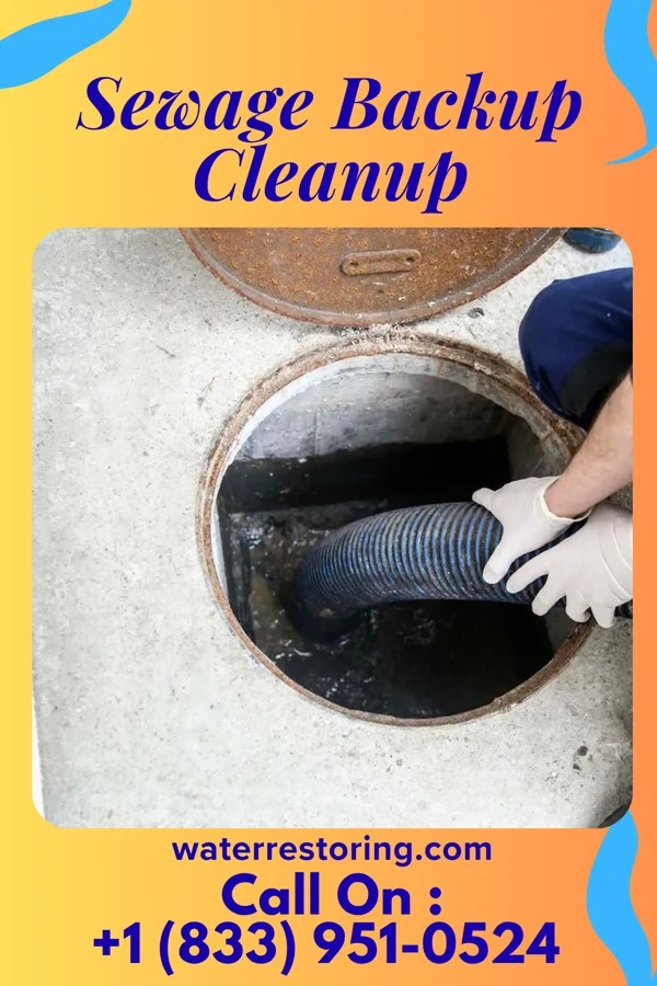 Sewage Backup Cleanup in Old Bennington, VT