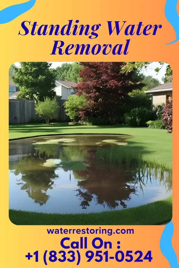 Standing Water Removal in Old Bennington, VT